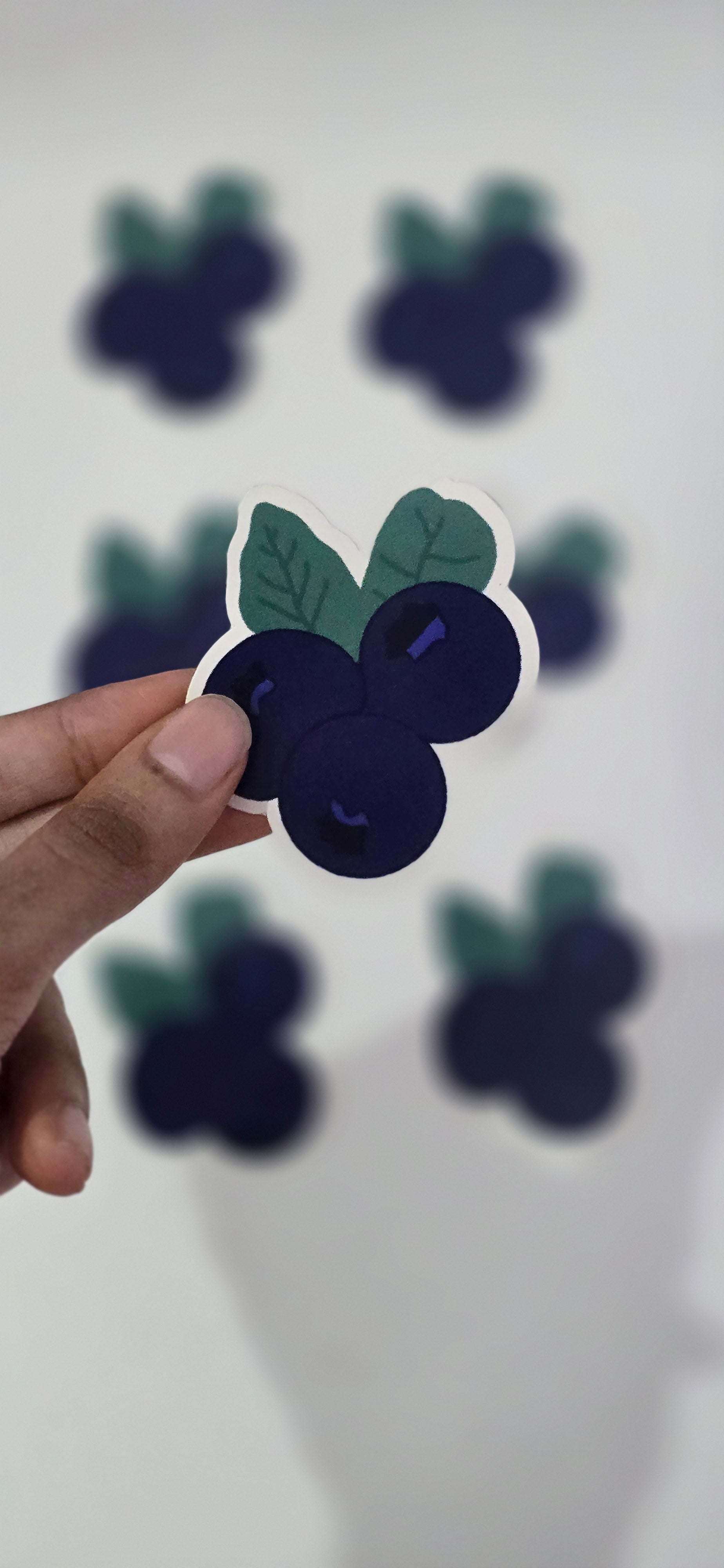 BLUEBERRY STICKER